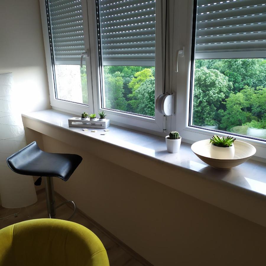 Diva Apartman Arandjelovac Esterno foto